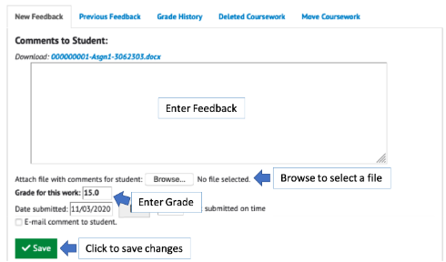 An example of the New Feedback tab with the feedback entry options highlighted